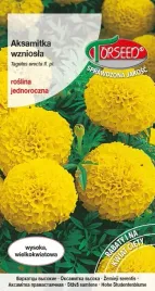 aksamitka-wielkokwiatowa-wysoka-cytrynowozolta-1g-nasiona-aksamitki