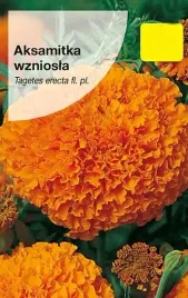 torseed-aksamitka-nasiona-kwiatow-wysoka-wielkokwiatowa-pomaranczowa-1g