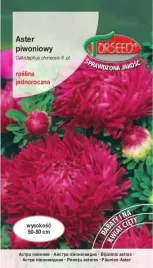 aster-wysoki-piwoniowy-karminowy-05g-nasiona-asterow-kwiaty-na-ogrod