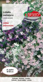 lobelia-zwisajaca-mieszanka-02g-nasiona-lobelii-kwiaty-na-ogrod