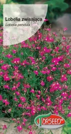 lobelia-zwisajaca-czerwona-02g-nasiona-lobelii-kwiaty-na-ogrod