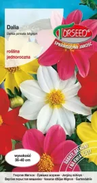dalia-zmienna-pojedyncza-mieszanka-1g-nasiona-dalii-kwiaty-na-ogrod