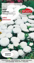 aster-karlowy-bialy-05g-nasiona-asterow-kwiaty-do-ogrodu