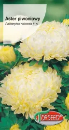 aster-wysoki-piwoniowy-zolty-05g-nasiona-asterow-kwiaty-na-ogrod