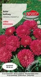 aster-karlowy-karminowy-05g-nasiona-asterow-kwiaty-na-ogrod