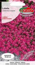 lobelia-stroiczka-odcienie-czerwieni-01g-nasiona-lobelii-kwiaty-na-ogrod
