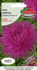 aster-wysoki-igielkowy-sliwkowo-amarantowy-05g-nasiona-asterow-kwiaty