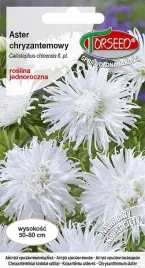 aster-wysoki-chryzantemowy-bialy-05g-nasiona-asterow-kwiaty-na-ogrod