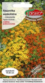 aksamitka-waskolistna-mieszanka-nasiona-kwiaty-do-ogrodu-na-rabaty-05g