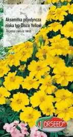 aksamitka-pojedyncza-niska-disco-zolto-miodowa-1g-nasiona-aksamitki