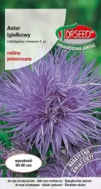 aster-wysoki-igielkowy-niebieski-05g-nasiona-asterow-kwiaty-na-ogrod