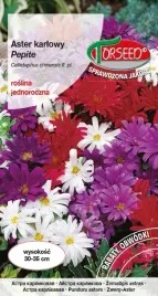 aster-karlowy-pepite-mieszanka-1g-nasiona-asterow-kwiaty-na-ogrod