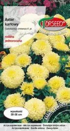 aster-karlowy-zolty-05g-nasiona-asterow-kwiaty-do-ogrodu