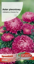 aster-wysoki-piwoniowy-rozowopurpurowy-05g-nasiona-asterow-na-ogrod