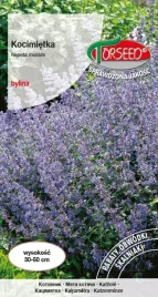 kocimietka-niebieska-05g-nasiona-kocimietki-kwiaty-na-ogrod