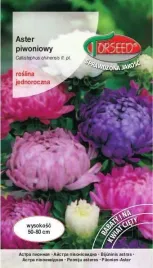 aster-wysoki-piwoniowy-mieszanka-1g-nasiona-asterow-kwiaty-na-ogrod