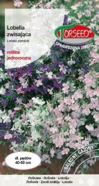 lobelia-zwisajaca-niebieska-02g-nasiona-lobelii-kwiaty-na-ogrod