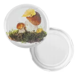 nakretki-do-sloikow-zakretki-grzyby-6-zaczepowe-fi82-100-sztuk