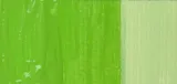 fevicryl-farba-do-tkanin-50-ml-34-leaf-green-stan-nowy