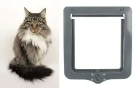 drzwi-klapka-4-way-xxl-duzego-kota-maine-coona-25