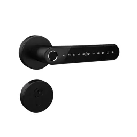 zamek-elektroniczny-hato-tb-33-czarny-na-odcisk-palca-i-kod-pin