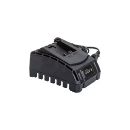 szybka-ladowarka-1h-connect-20v-vulcan-vj1ld