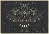 puzzle-interdruk-500-elementow-interdruk-puzzle-500-el-galaxy-2-326065-kolekcja-galaxy