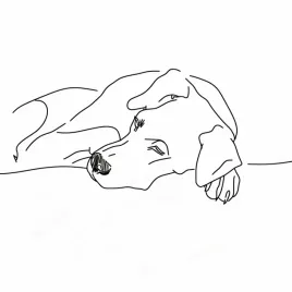 plakat-70x70cm-wypoczynek-psiaka