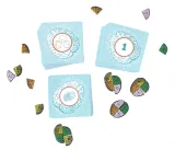 gra-planszowa-cortex-2-bialy-rebel-projektant-johan-benvenuto-nicolas-bourgoin