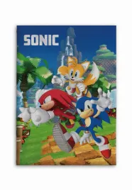 koc-polarowy-licencyjny-100x140-sonic-01