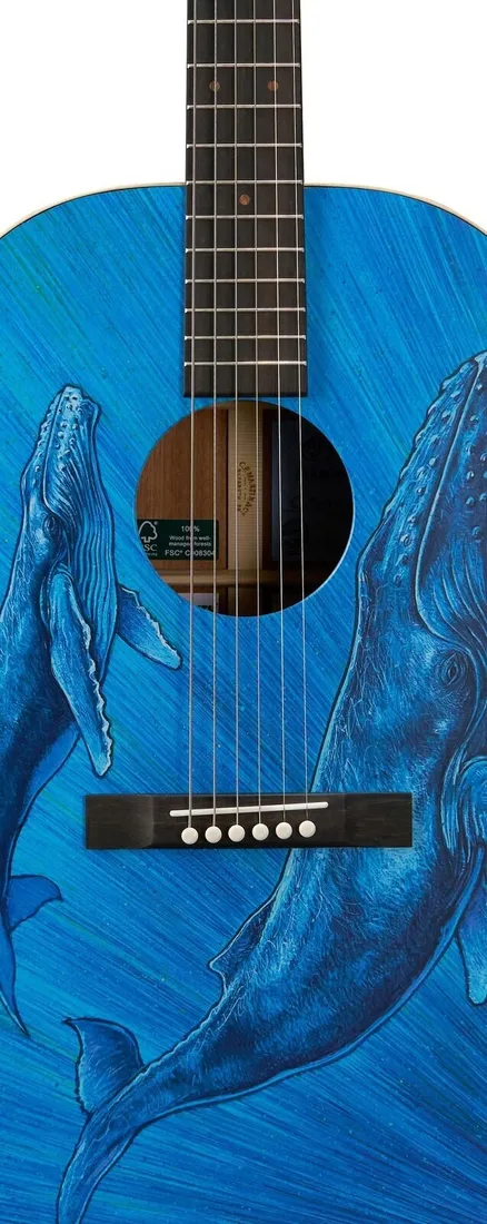 martin-dss-biosphere-ii-gitara-akustyczna-stan-nowy