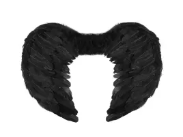 skrzydla-aniola-czarne-54x37cm-halloween