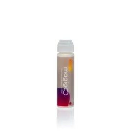 magigoo-pp-gf