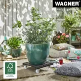 wagner-0-l-stan-nowy