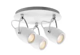 paulmann-603-43
