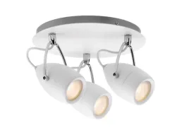 paulmann-603-43
