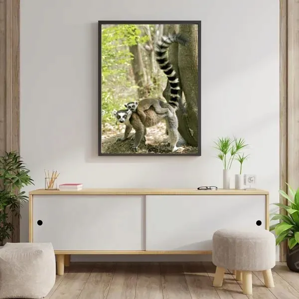 lemury-plakat-61x915-cm-stan-nowy