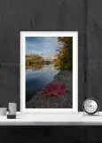 lisc-plakat-40x50-cm-stan-nowy