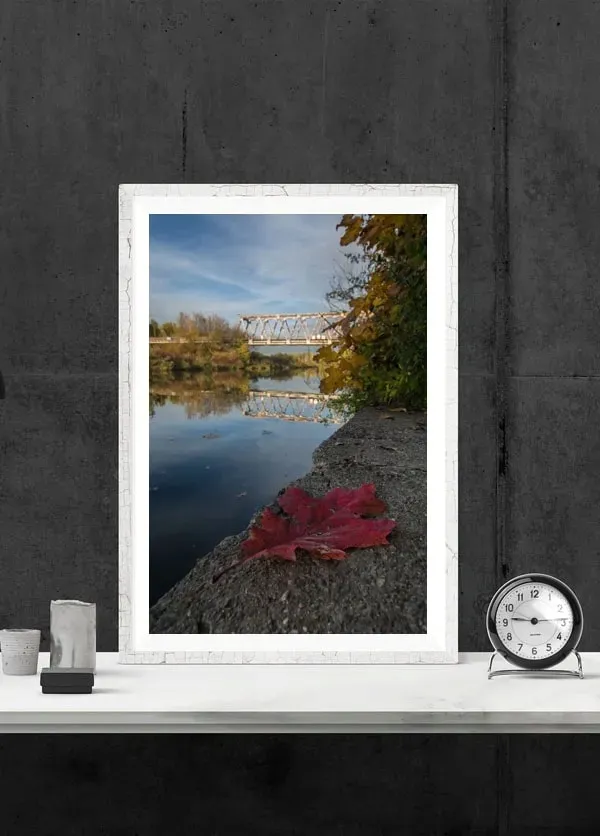 lisc-plakat-40x50-cm