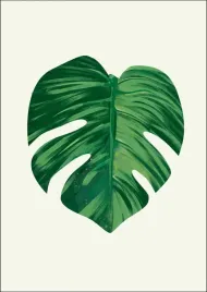 lisc-iii-plakat-60x80-cm