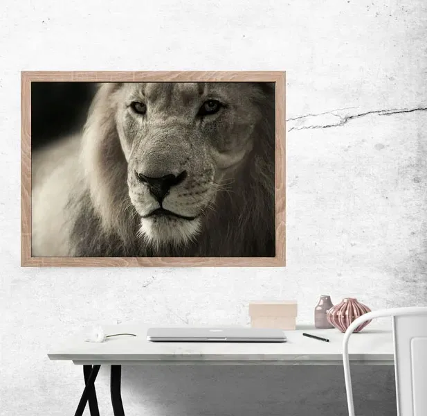 lew-plakat-42x297-cm