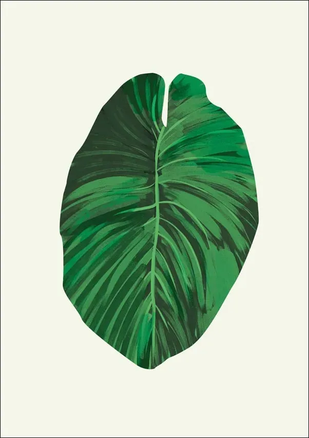 lisc-vi-plakat-20x30-cm