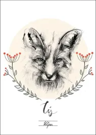 lisek-plakat-40x50-cm