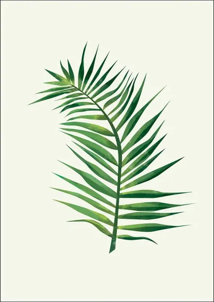 lisc-v-plakat-30x40-cm