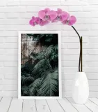 liscie-plakat-20x30-cm-stan-nowy