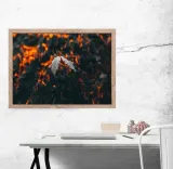 liscie-plakat-70x50-cm-stan-nowy
