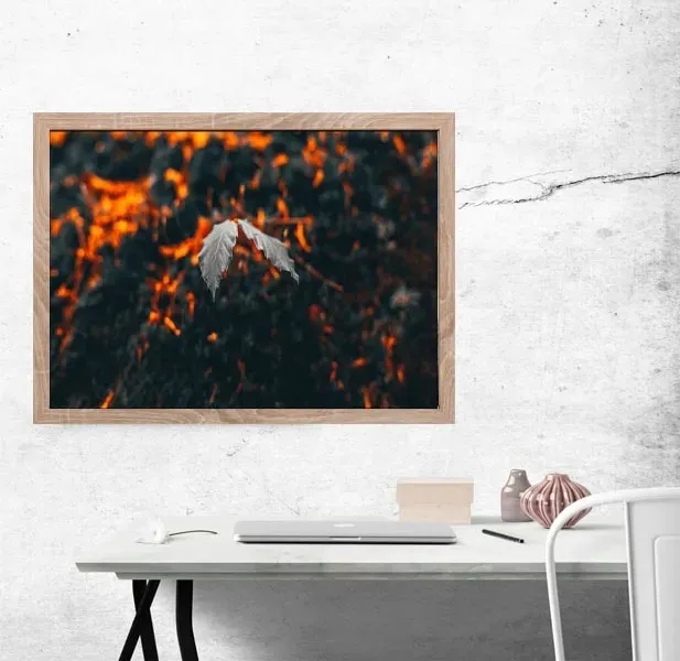 liscie-plakat-70x50-cm