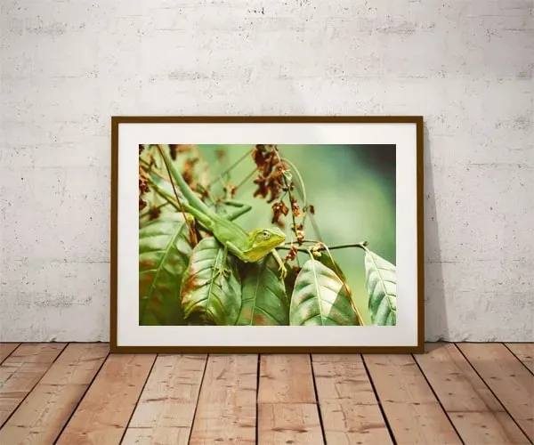 lizzard-plakat-915x61-cm