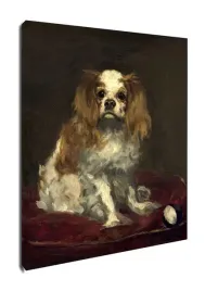 a-king-charles-spaniel-edouard-manet-obraz-na-plotnie-50x70-cm
