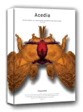acedia-obraz-na-plotnie-60x90-cm